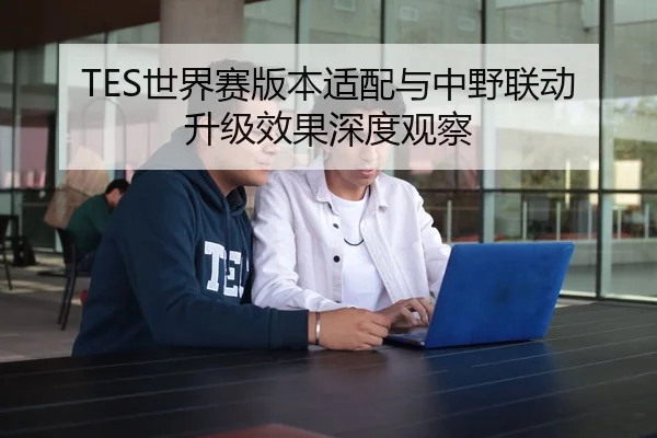TES世界赛版本适配与中野联动升级效果深度观察